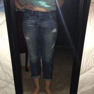 🎄 Maurice’s Blue Jeans